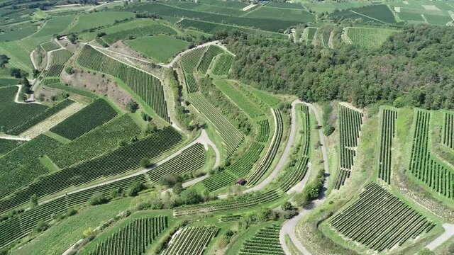 Vignobles Alsacien en drone 