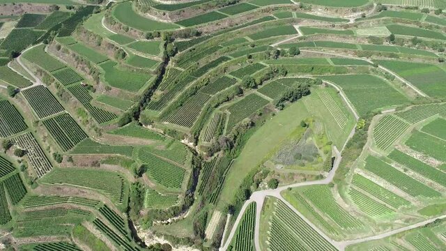 Vignobles Alsacien en drone 