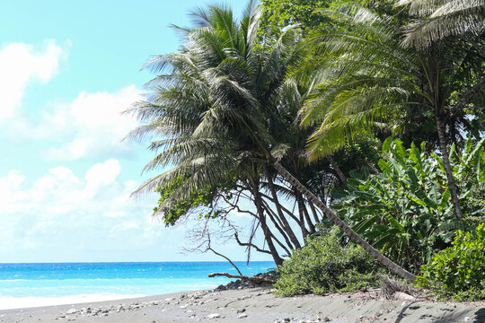 Madrigal Bilder Durchsuchen 475 Archivfotos, und