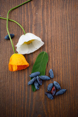 honeysuckle berries