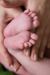 newborn baby feet in hand
