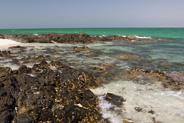 Beautiful and deserted beaches, the amazing waters of the Arabian Sea, super sea swims can be enjoyed on Omani Island Masirah.Oman, Asia
