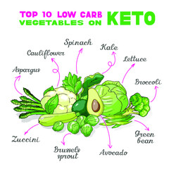 Vector illustration of low-carb ketogenic diet best vegetables