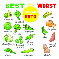 Vector illustration of low-carb ketogenic diet best and worst vegetables