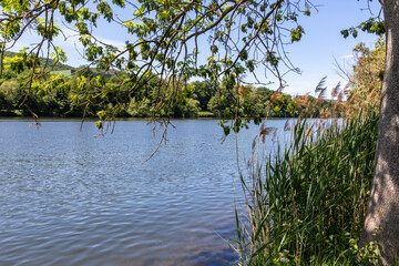 Idyllic view of the bank of the Moselle river nearby Bernkastel-Kues