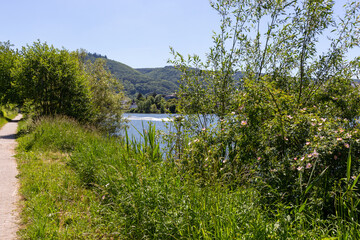 Footpath along the bank of river Moselle