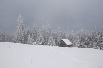 snow, fog, snowy mountain house
