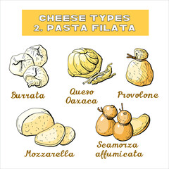 Vector illustration of cheese types and sorts