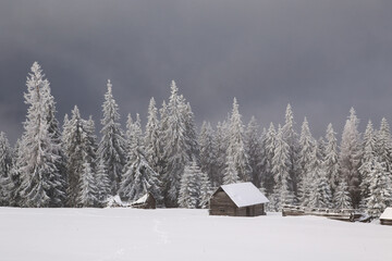 snow, fog, snowy mountain house