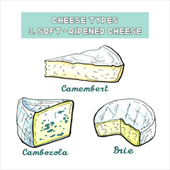Vector illustration of cheese types and sorts