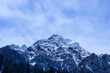 snow-covered mountain with pine trees at the bottom of the mountain. focus on infinity.