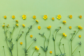 Beautiful delicate postcard with pattern of yellow buttercup flowers for holiday greeting or...