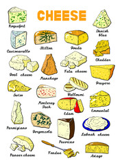Vector illustration of cheese types and sorts