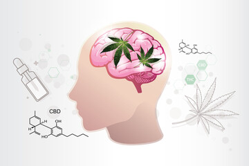 human endocannabinoid system,cannabidiol effect benefit on brain,vector on white background.