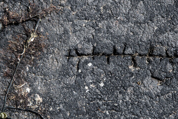 texture di una roccia spaccata dal vento e dall'erba