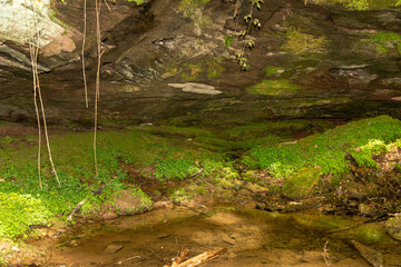 Water flowing over moss covered rocks