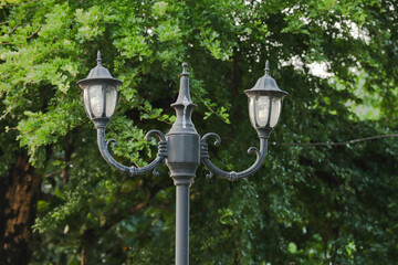 Black Park Lamp