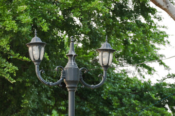 Black Park Lamp
