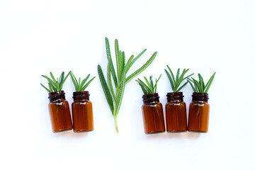 Rosemary leaves with essential oil bottles on white
