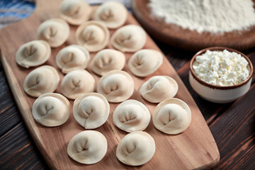 raw dumplings with cottage cheese