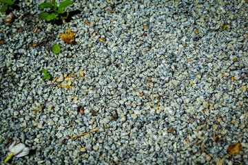 Small round garden stone texture for background.