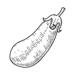Illustration of eggplant in engraving style. Design element for logo, label, sign, emblem, poster.