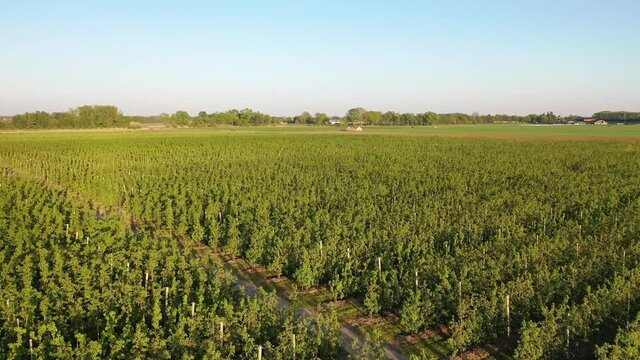A drone fly over fields of a farm, to a farmer plowing his fields on his farm during spring in the evening.