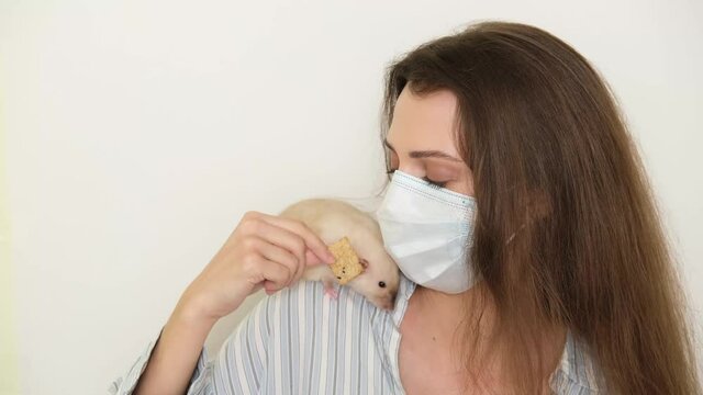 Girl gives home rat cookies. Decorative rat sits on the shoulder of a young woman in a medical mask. A woman is playing with her pet, this is a rat.