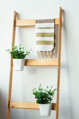 Home design . Room interior 