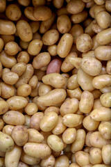 Close up of new potatoes for sale in a vegetable market