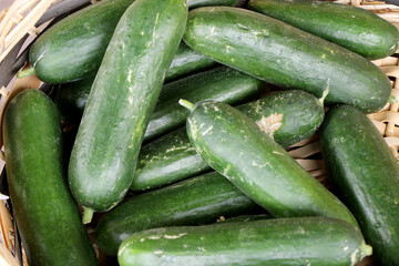 nutrient, ripe, delicious, marrow, tasty, vegan, squash, nutritious food, harvested, horticulture, farm, grow, freshly, grower, vegetables, harvesting, farming, italian, produce, cultivation, farmer, 