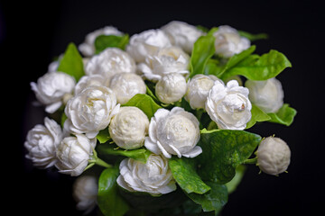 Jasmine bouquet with white fragrance on a black background, the concept of giving jasmine to Mother's Day in Thailand.