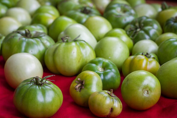 Different types of fresh organic green tomatoes.