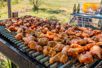 Raw chicken ready to be grilled