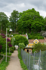 Urban and city gardening and farming in Oslo, Norway.