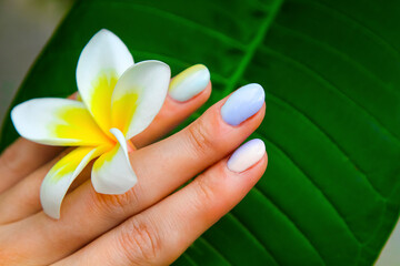 Beautiful multi color manicur on tropical style background