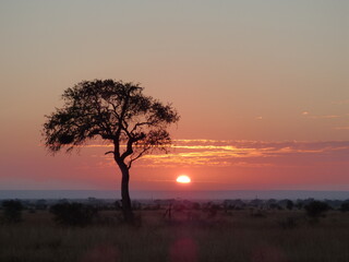 Fototapeta na wymiar African Sunrise - Kruger National Park, South Africa