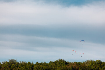 three paragliders in a blue sky over a green forest