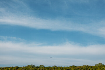 paraglider in the blue sky over a green forest
