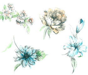 Flowers watercolor illustration.Manual composition.Big Set watercolor elements，Design for textile, wallpapers，Element for design,Greeting card