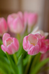 Blurred background - Beautiful bouquet of white and pink tulips