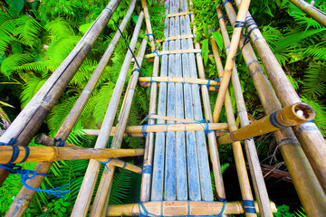 Bridge at Tegalalang Rice Terrace in Ubud, Bali, Indonesia
