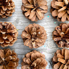 Pine cones. Tree seeds. Coniferous. On wooden Background.
