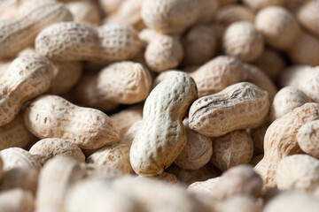 close up of peanuts