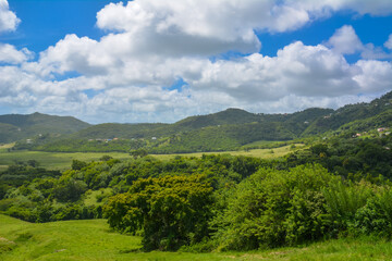 Fototapeta na wymiar Scenic view over peaceful green prairies and fields from the top of a mountain in Martinique West Indies. Blue sky, white clouds. Copy space