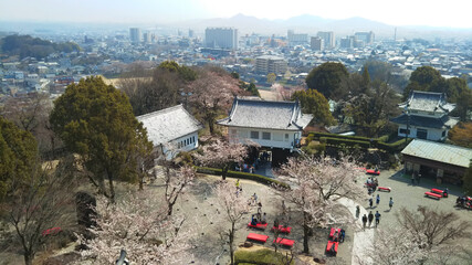 春の犬山城からの眺め