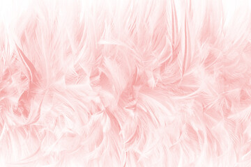 Beautiful light pink feather pattern texture background
