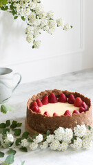 Classic New York Cheesecake with fresh berries on the plate - healthy organic dessert.
