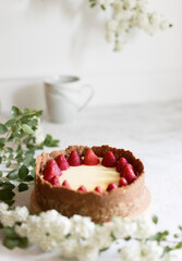 Classic New York Cheesecake with fresh berries on the plate - healthy organic dessert.