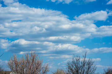 
spring sunset near the city12